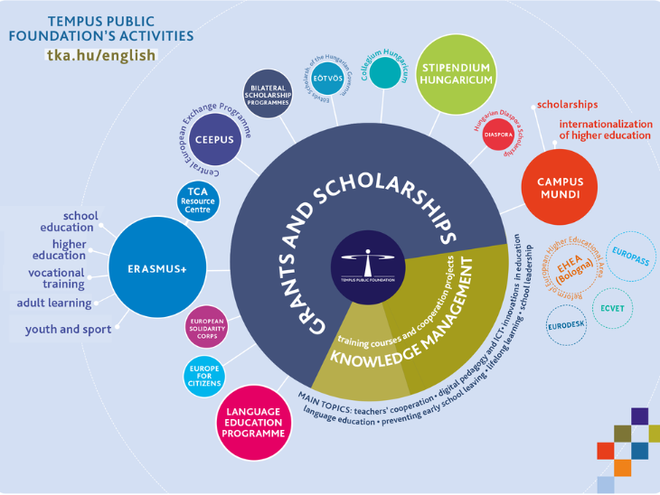 TempusPublic Foundation organogram